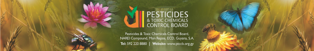 adipiscing business theme